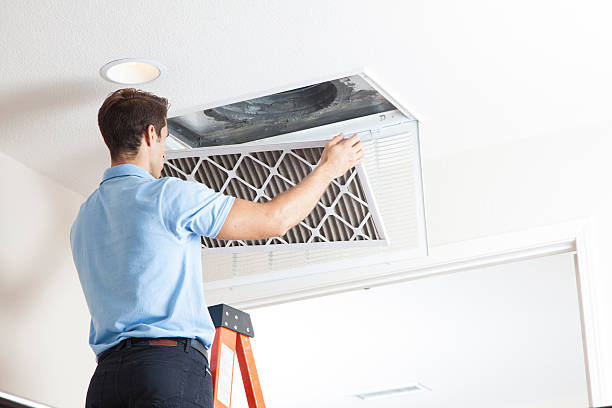 Best HVAC air duct cleaning  in Palos Heights, IL
